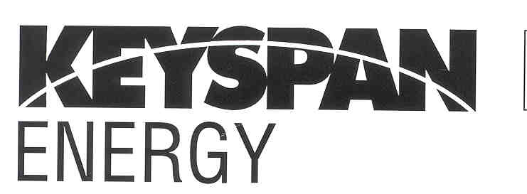 Largest Power Companies largest-power-companies